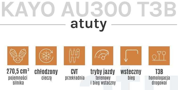 Quad KAYO AU300 T3B od ręki Raty Transport QuadON Assix, Beretta