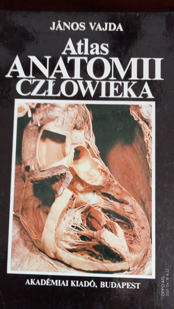 Atlas anatomii człowieka