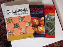 Livros  CULINÁRIA - Enciclopédia da Mulher