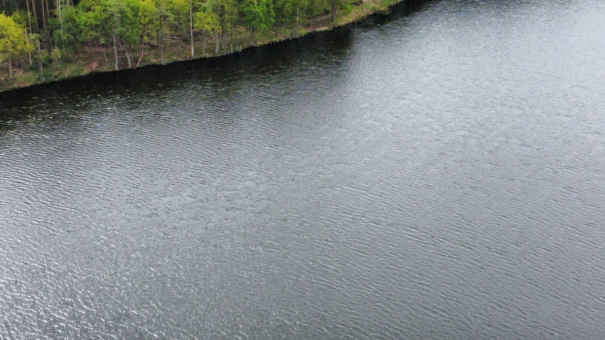 pokoje do wynajęcia Soczewka