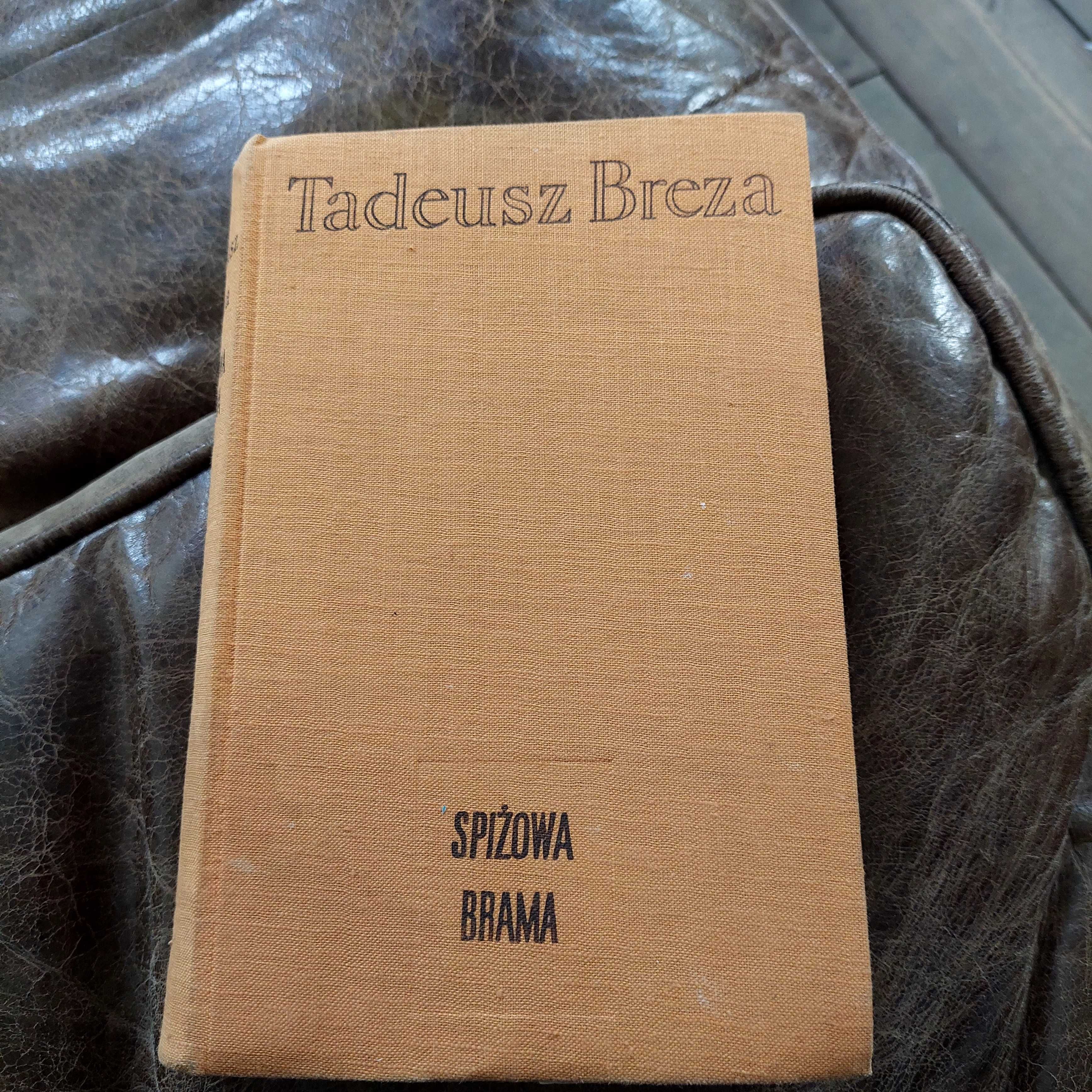 Książka spiżowa brama Tadeusza Brezy