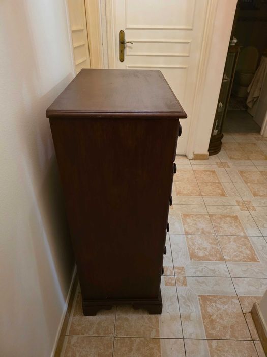 Camiseiro em Mogno maciço com 7 Gavetas