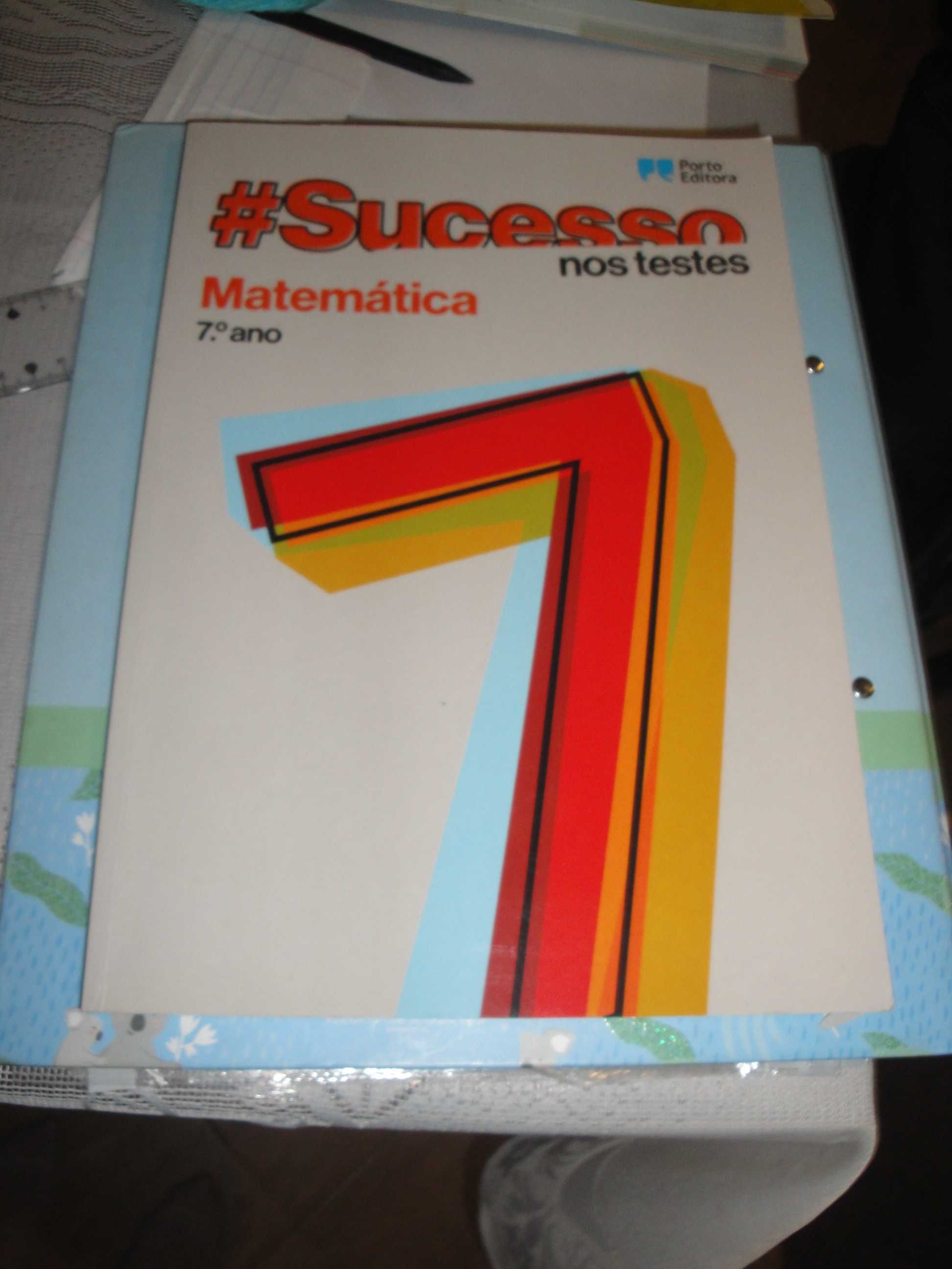 Sucessos nos testes- matemática 7º ano