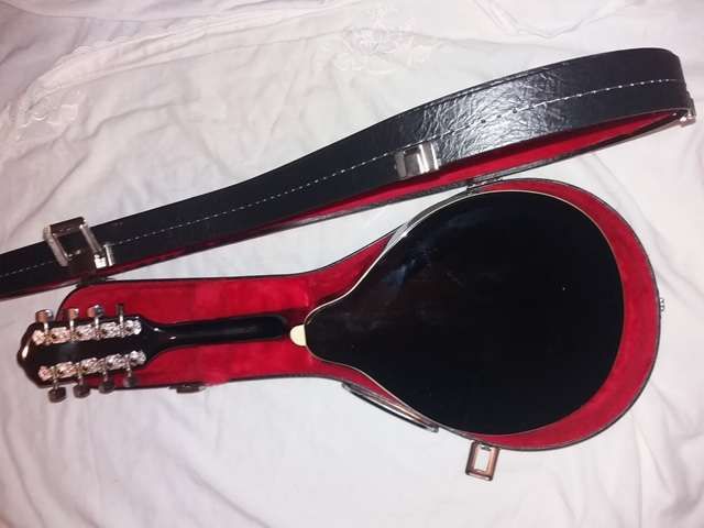 Bandolim de madeira e estojo