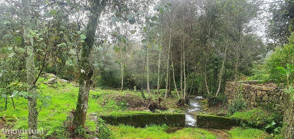 Terreno  para venda