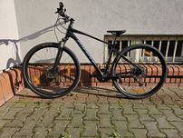 Rower giant roam 0