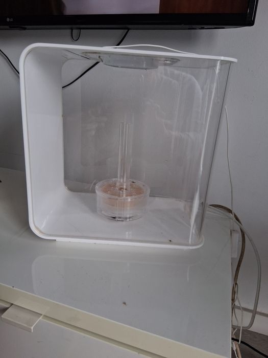 Aquario com filtro alto design