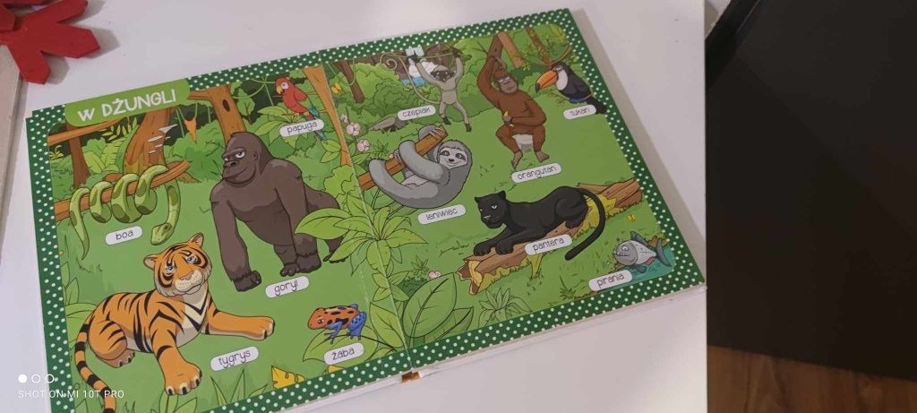 Wielka księga przyrody słownik obrazkowy książka dla dzieci
