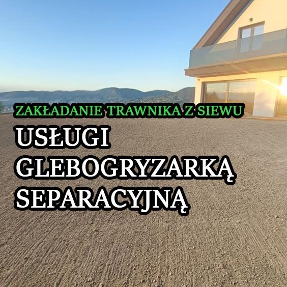 Szkółka krzewów ozdobnych