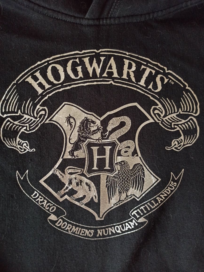 Bluza kaptur Hogwarts Harry Potter H&M