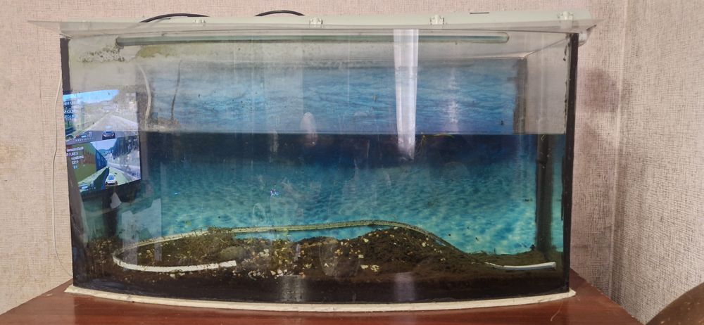 Акваріум "Природа" 190 літрів із панорамним вигнутим склом. Торг!