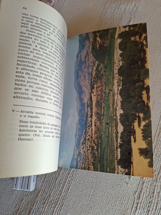 Mediterrâneo. Ambiente e Tradição Orlando Ribeiro livro muito estimado