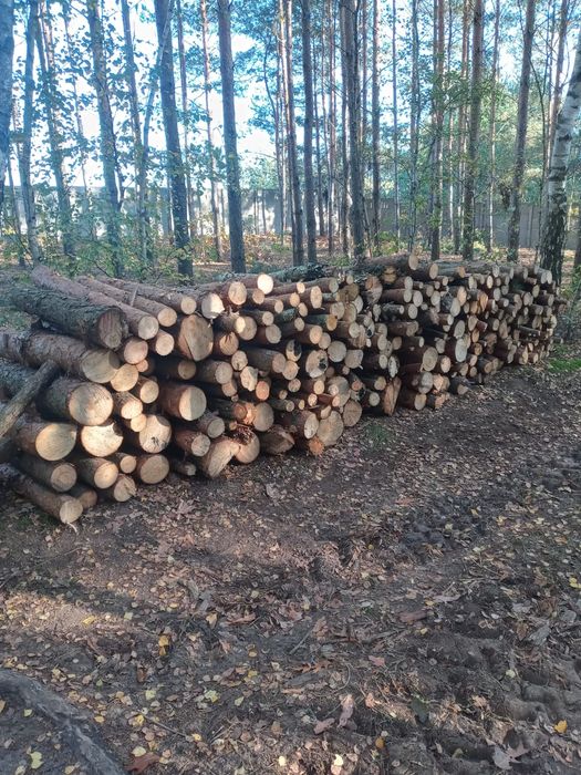 Drewno opałowe liściaste dąb/buk/brzoza