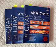 Anatomia Gray 3 tomy