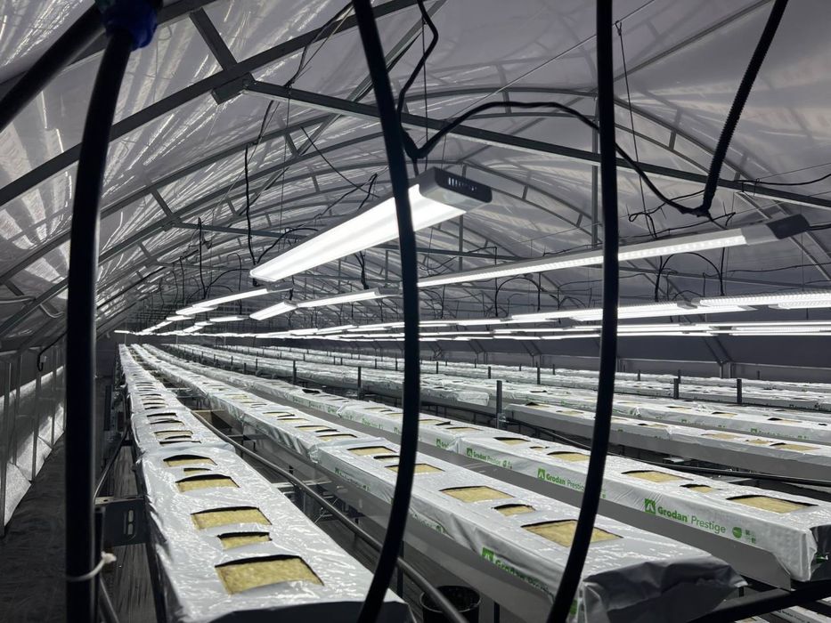 Технологічне тепличне господарство