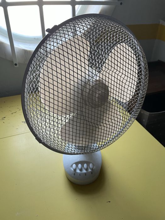 Ventoinha Branca Pequena