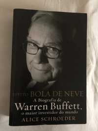 Efeito Bola de Neve, A biografia de Warren Buffett