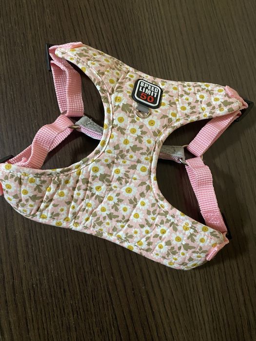 Шлея для маленьких порід собак або котів