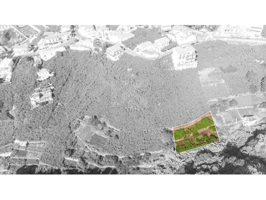 Terreno Estreito de Câmara de Lobos