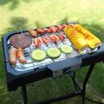 Grill elektryczny Aigostar Electric grill BBQ with stand 2000W VDE