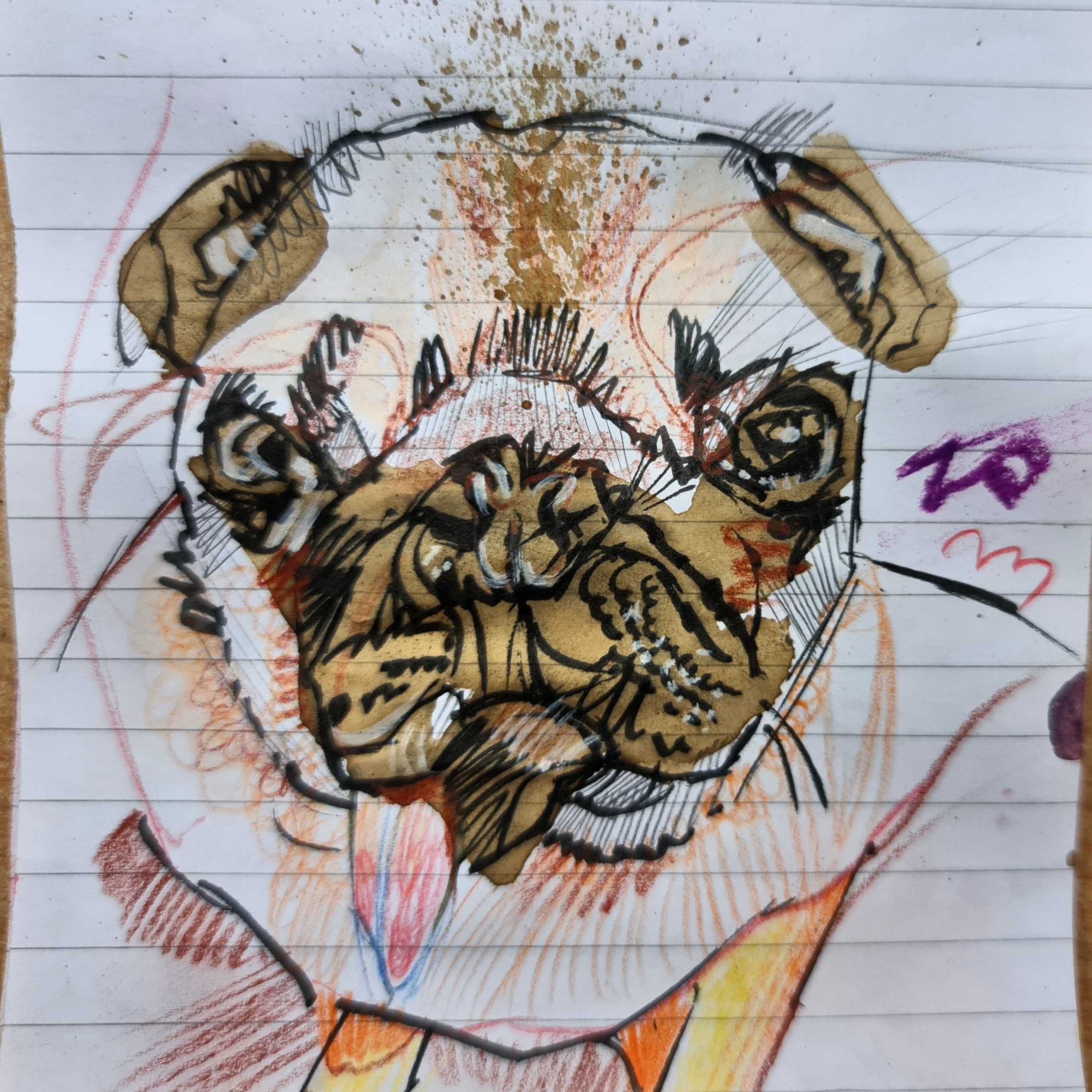 Portret. Zwierzaki/Ludzie - Rysunek/Malarstwo. Różny format. Zapraszam