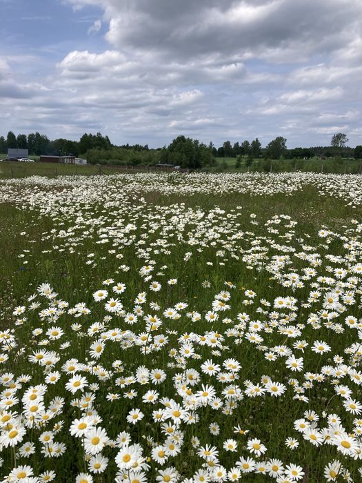 Działka, ziemia w Sobączu/Kościerzyna, Kaszuby, camping