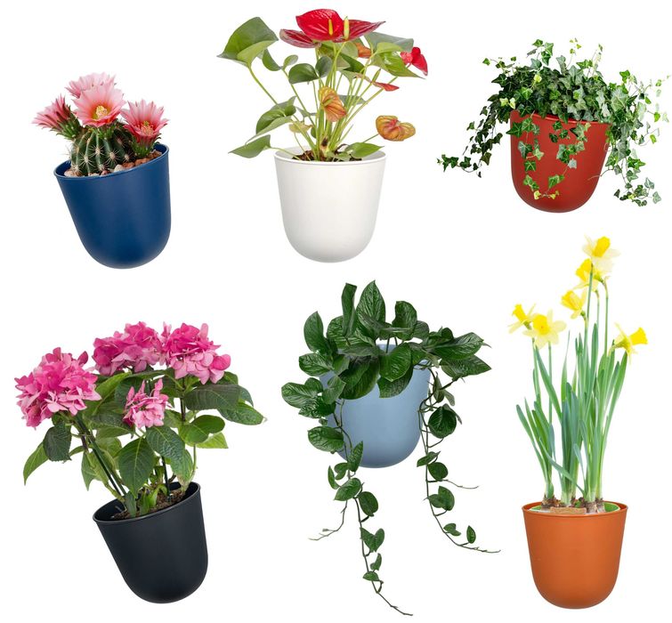 Osłonka wisząca Naściennna Pojedyńcza na kwiaty 14cm jasnoszary donica