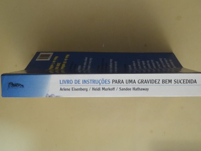 Livro de Instruções Para Uma Gravidez Bem Sucedida de Sandee Hathaway