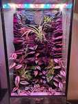 Terrarium z motywami Azteków