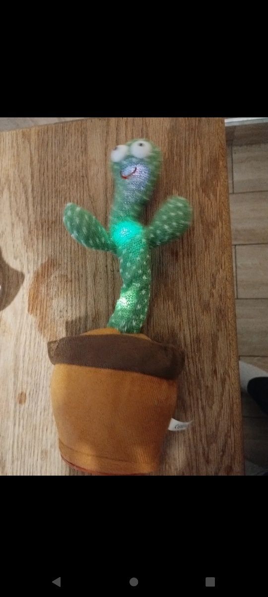 Tańczący kaktus, nowy, śpiewający