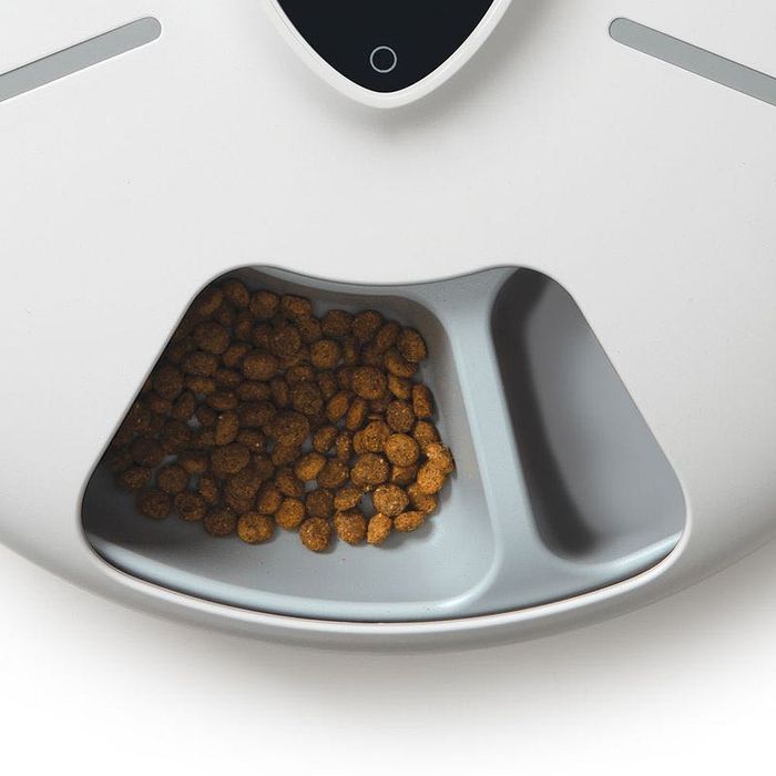 Catit PIXI Smart 6-Meal automat na karmę + dodatkowe wkłady chłodzące