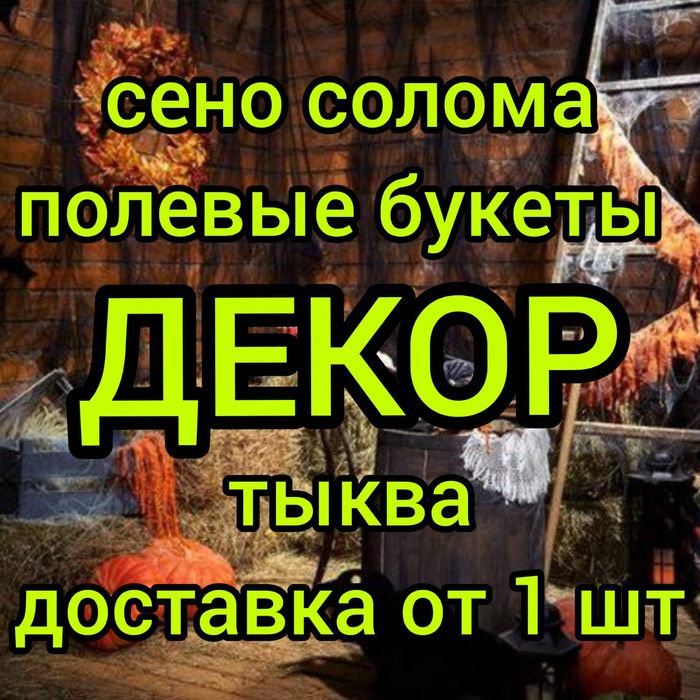 СІНО ДЕКОР З ДОСТАВКОЮ в тюках мешках, сено тимофеевки и др.