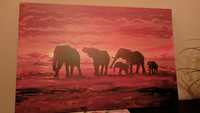 Obraz ze słoniami