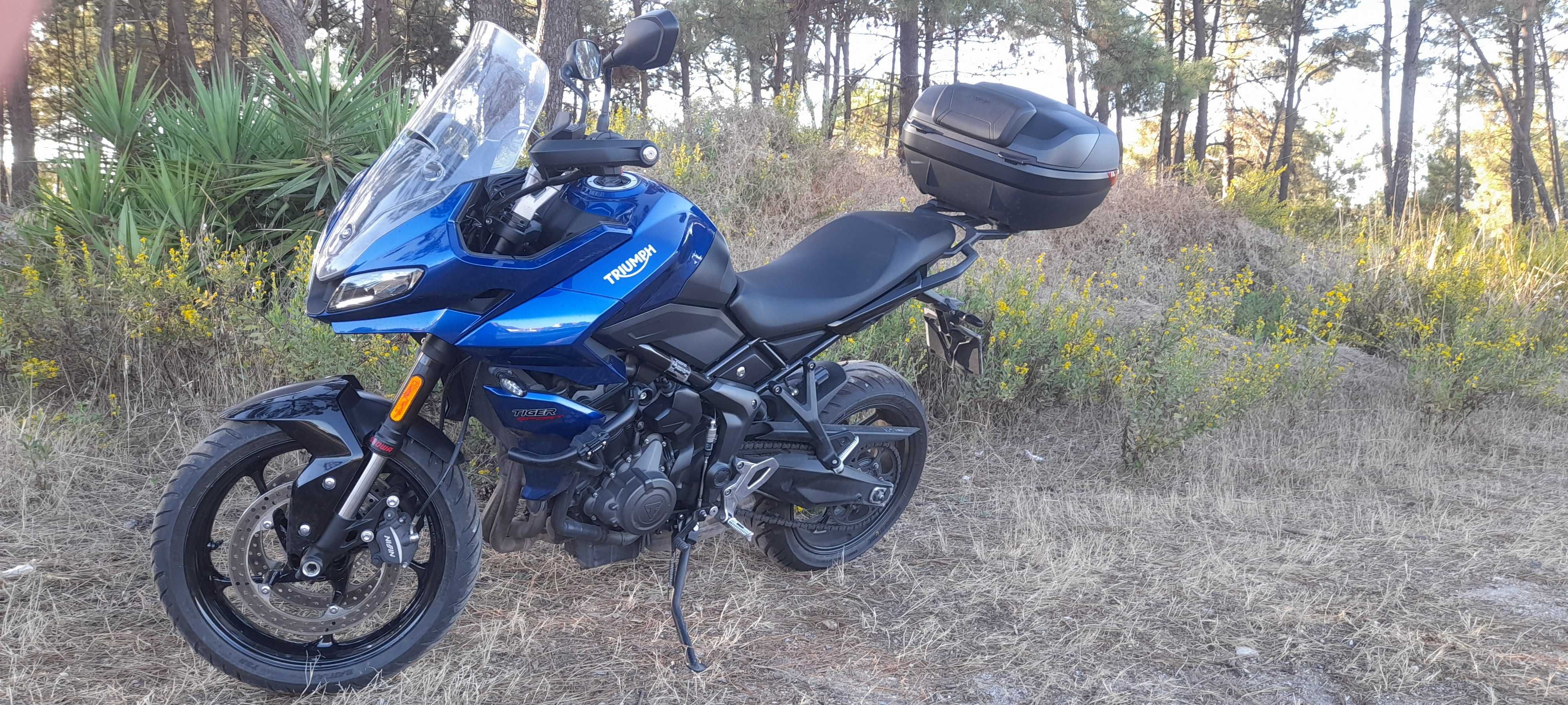 Triumph Tiger Sport 660, Acidentada