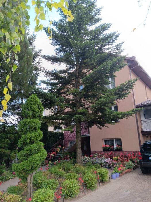 Dom jednorodzinny w zabudowie szeregowej. Połączone garażem.