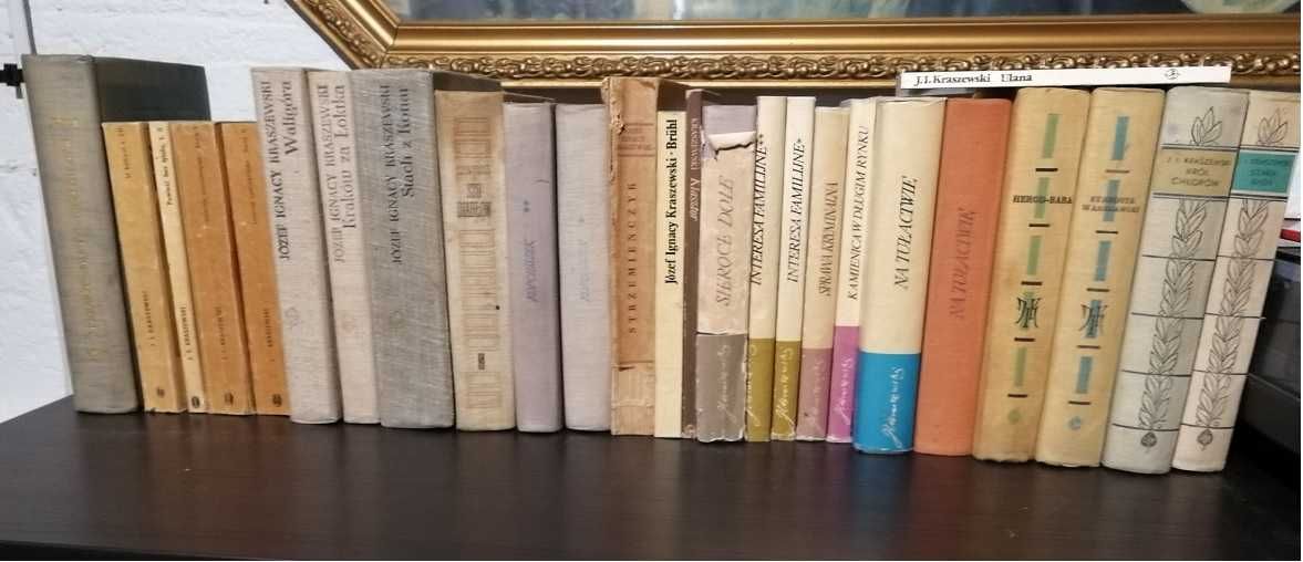 Józef Ignacy Kraszewski, 26 książek z różnych serii