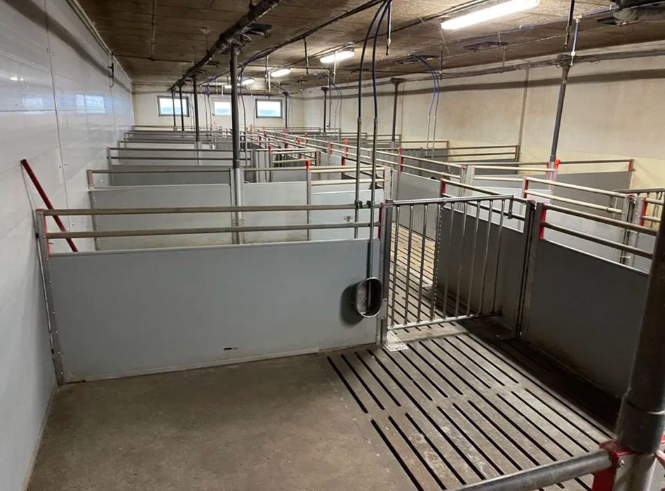 Огорожа свиноферми нержавійка , оцинковка з Данії