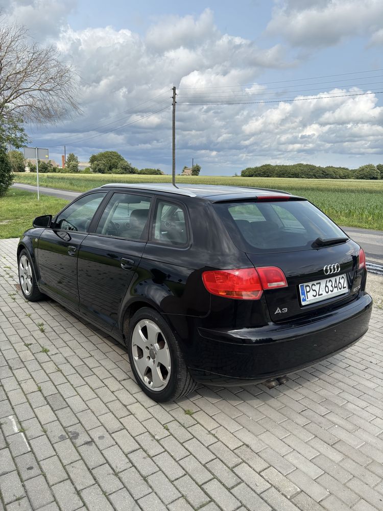 Audi A3 8P 2.0 TDI