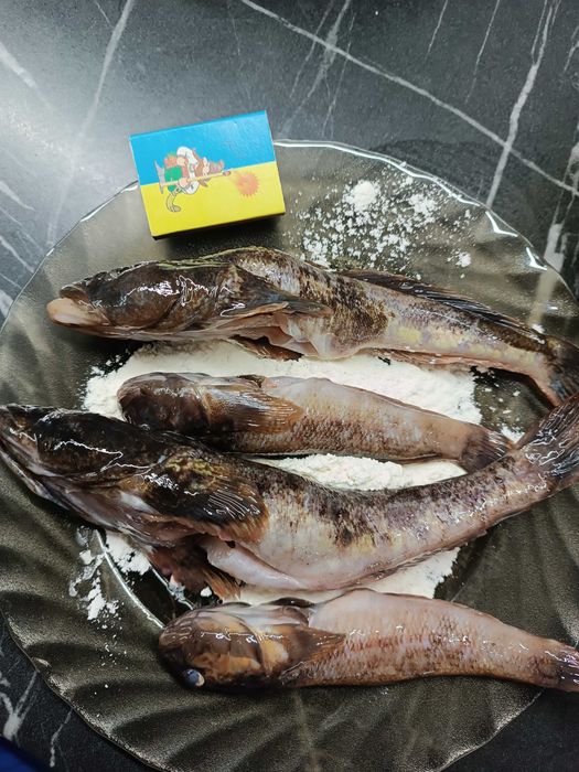 Бичок Чорноморський , риба