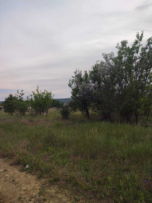 Участок продам Березовка 8 соток