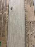 Opoczno Natural - Grand Wood Natural Sand 19,8x119,9