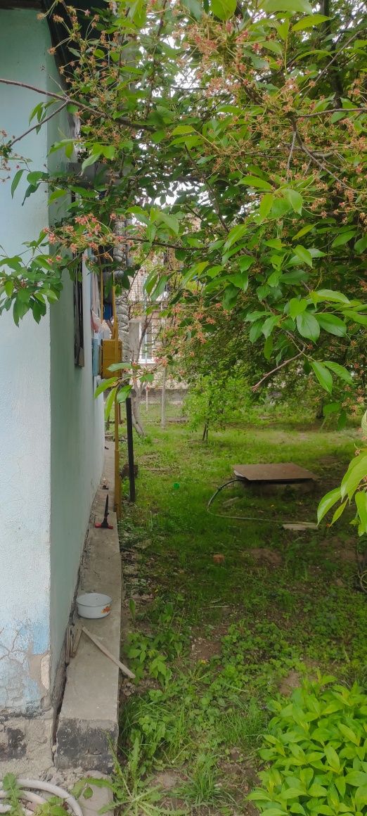 Продам будинок с Бишів