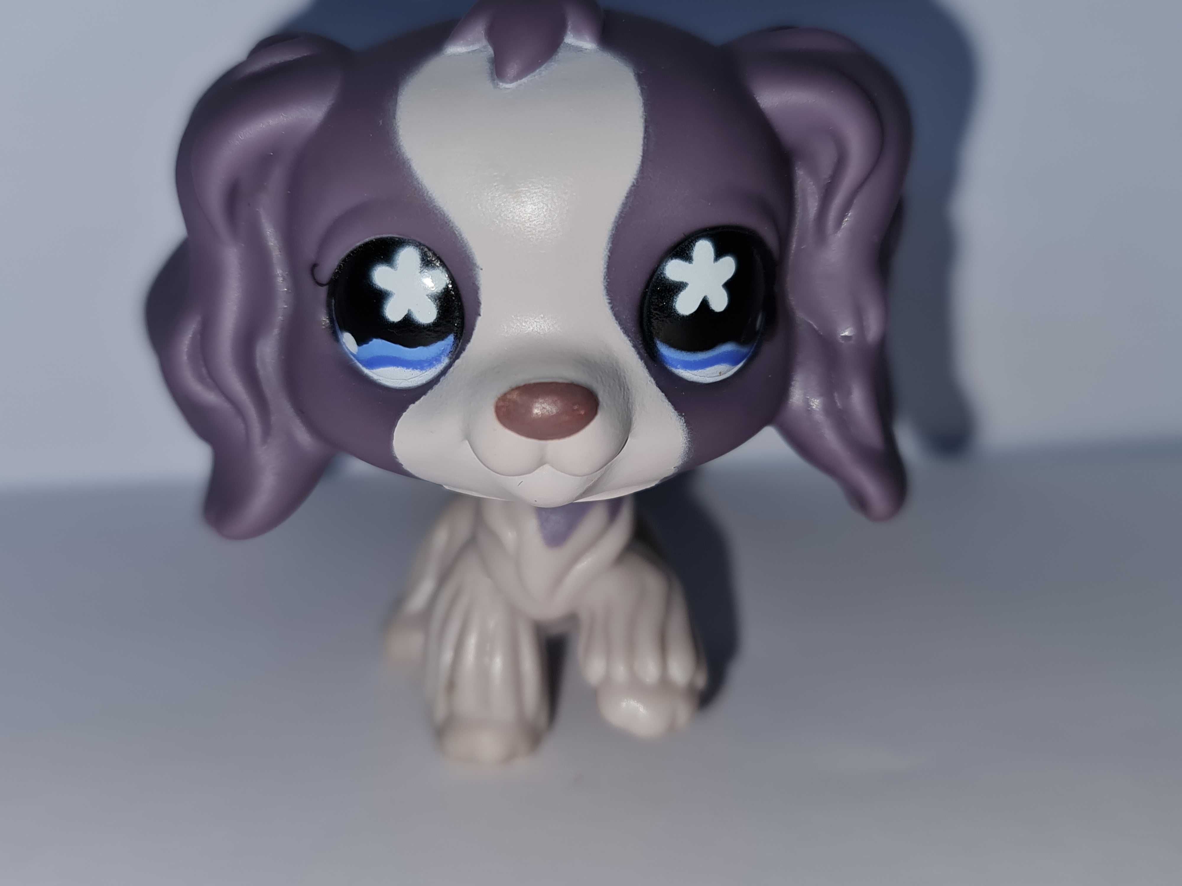 Oryginalny Littlest pet shop pies piesek spaniel #672 LPS