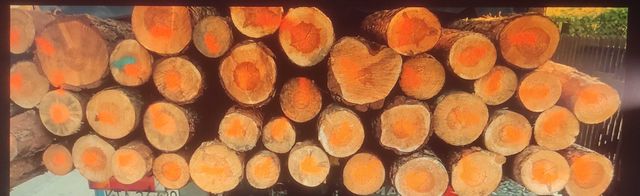 Drewno opałowe sosnowe-(stemple, metrówki, cięte)