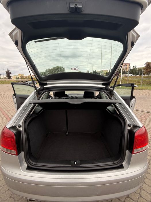 Audi A3 8P 1.9 TDI