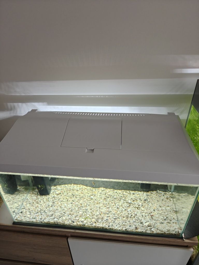 Sprzedam akwarium Leddy 60