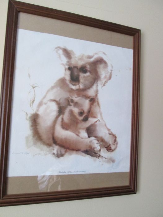4 quadros de animais e 4 variados
