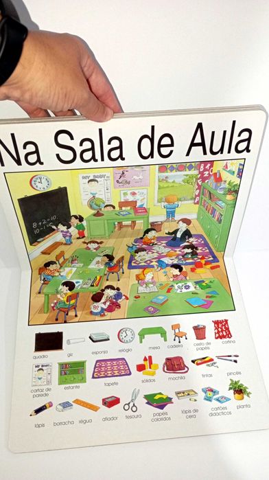 O Meu Primeiro livro (Gailivros)