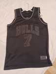 Koszulka sportowa Champion NBA Bulls Gordon 7