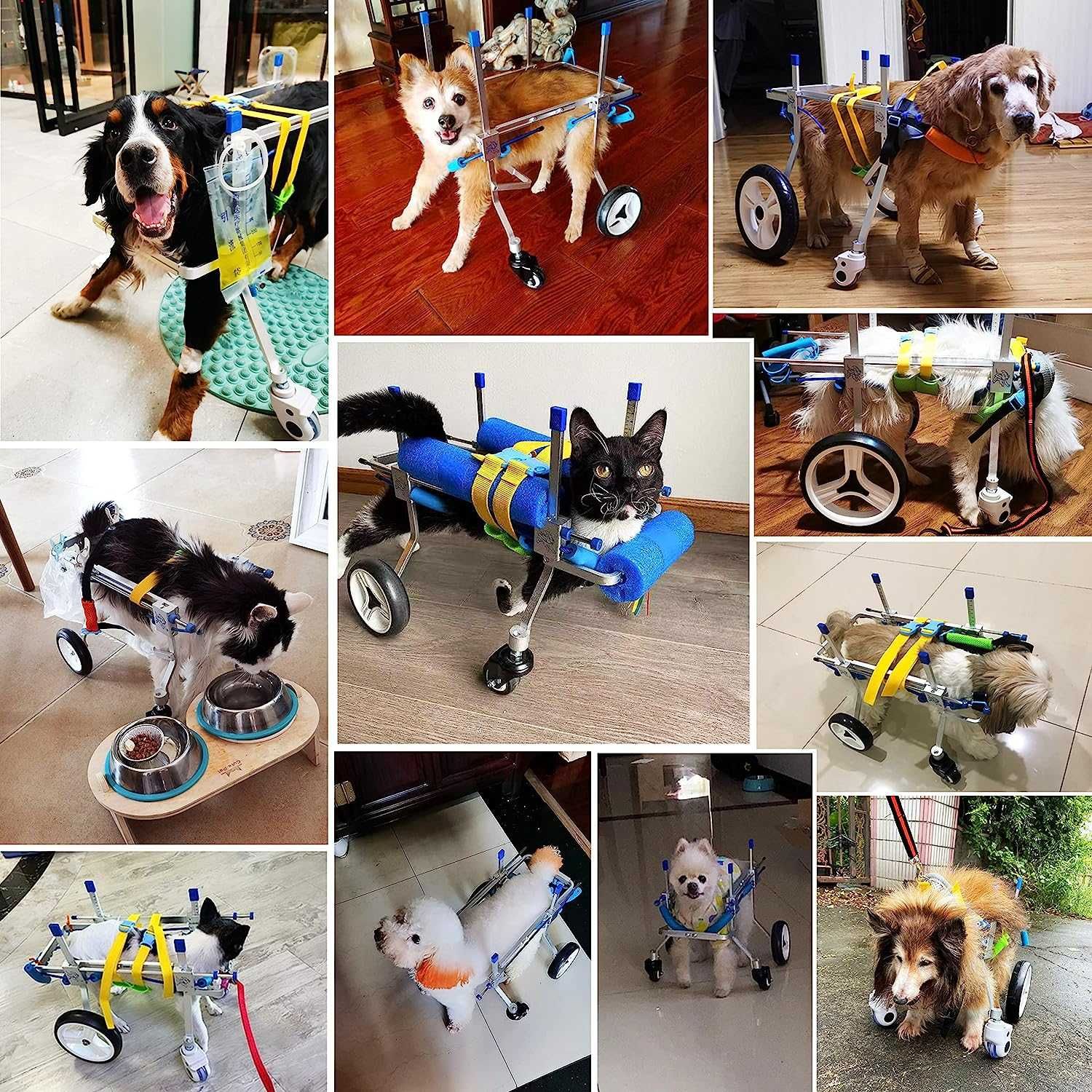 4-kołowy regulowany wózek dla psa, wózek inwalidzki z pełnym wsparciem